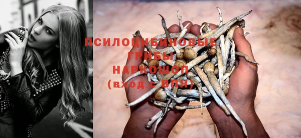 спайс Аркадак