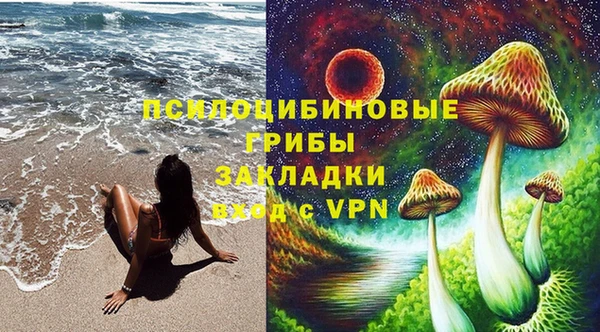 мдпв Арсеньев